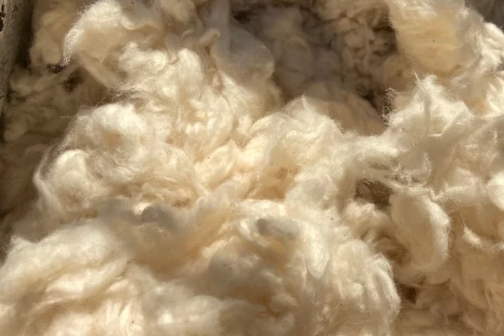 Gerissene Baumwollflocken